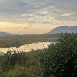 Meet your Posher, Candace